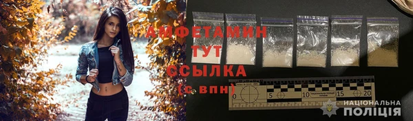 ГАЛЛЮЦИНОГЕННЫЕ ГРИБЫ Балабаново