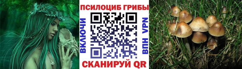Галлюциногенные грибы ЛСД  маркетплейс формула  Гвардейск  что такое наркотик 